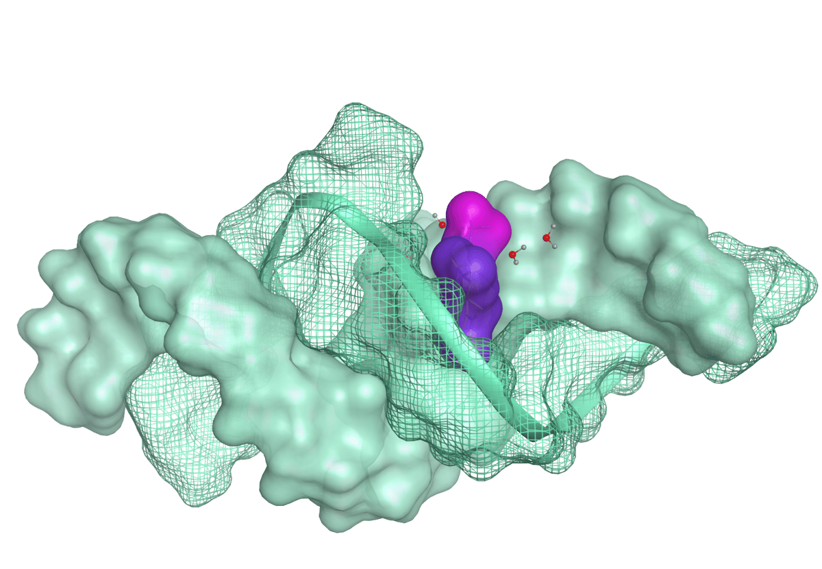 Unlocking RNA Targets: Advancing Drug Discovery with Cutting-Edge ...